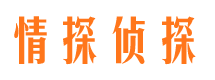 宾阳侦探公司